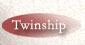 Twinship with other cities