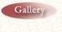 Photo Gallery